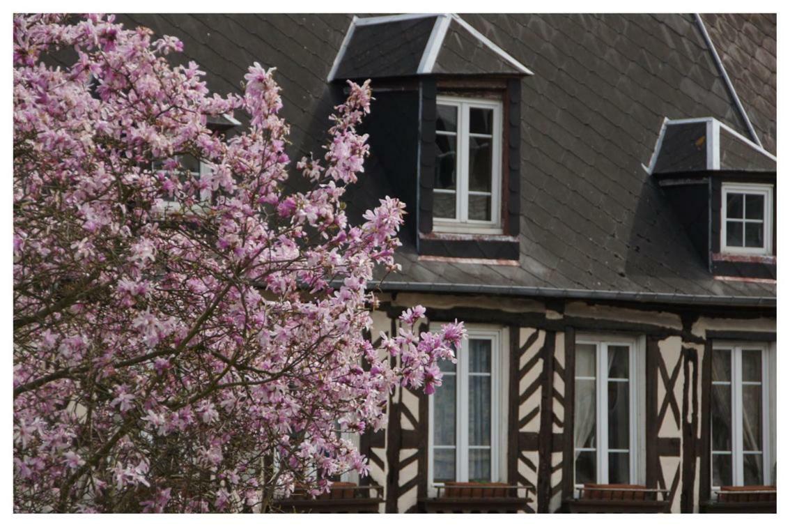 Residence Du Mas Criel-sur-Mer Extérieur photo